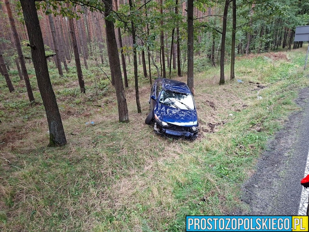 trasa opole nysa, wypadek w Dąbrowie, wypadek w lesie, samochód wypadł z drogi, traza opole nysa, prosto z opolskiego, prostozopolskiego, 