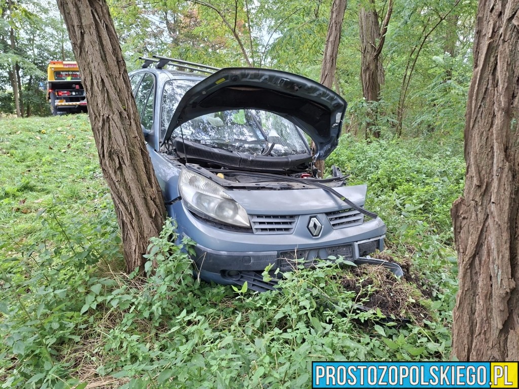 wypadek na trasie Opole Brzeg, Wypadek, wypaadek Skarbiszkowice, wypadek Borki, zderzenie 2 aut, prokurator na miejscu zdarzenia, dk 94, 