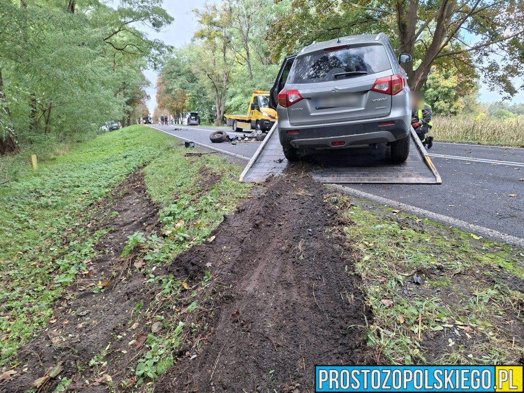wypadek na trasie Opole Brzeg, Wypadek, wypaadek Skarbiszkowice, wypadek Borki, zderzenie 2 aut, prokurator na miejscu zdarzenia, dk 94, 