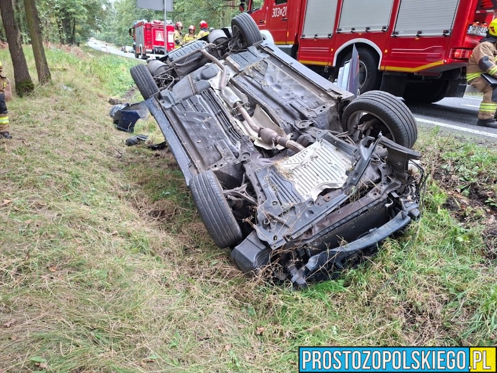 trasa opole nysa, wypadek w Dąbrowie, wypadek w lesie, samochód wypadł z drogi, traza opole nysa, 
