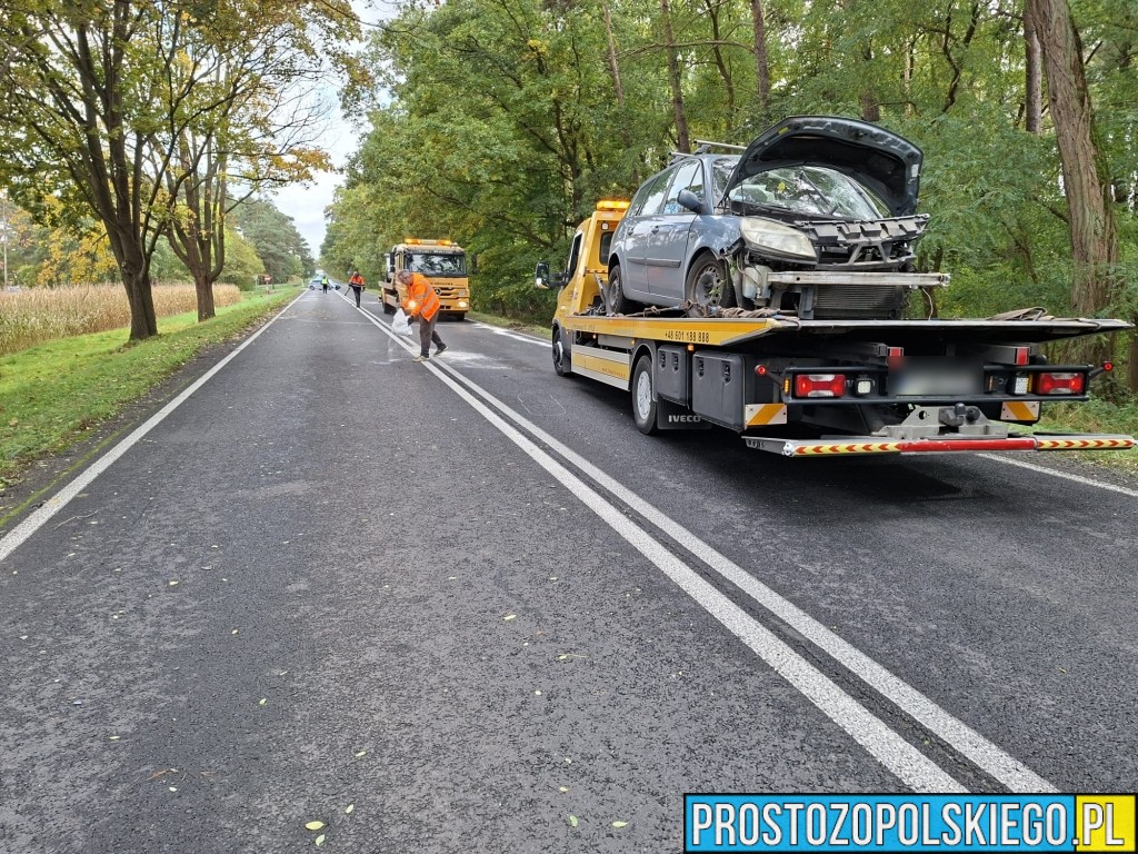 wypadek na trasie Opole Brzeg, Wypadek, wypaadek Skarbiszkowice, wypadek Borki, zderzenie 2 aut, prokurator na miejscu zdarzenia, dk 94, 