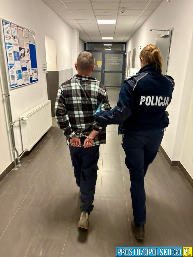 pościg w paczkowie, pościg policji, policja pościg, zatrzymany w pościgu, pościg za uciekającym kierowcą, pościg paczków, 