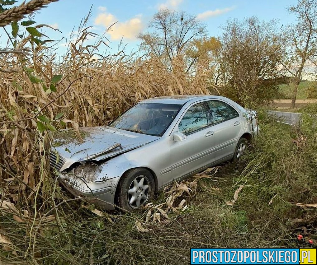 pozostawił auto w kukurydzy, uciekł z miejsa zdarzenia, wypadek otmuchów, wypadek na trasie Grądy – Rysiowice, Grądy – Rysiowice, policja ysa, nysa, kpp nysa,