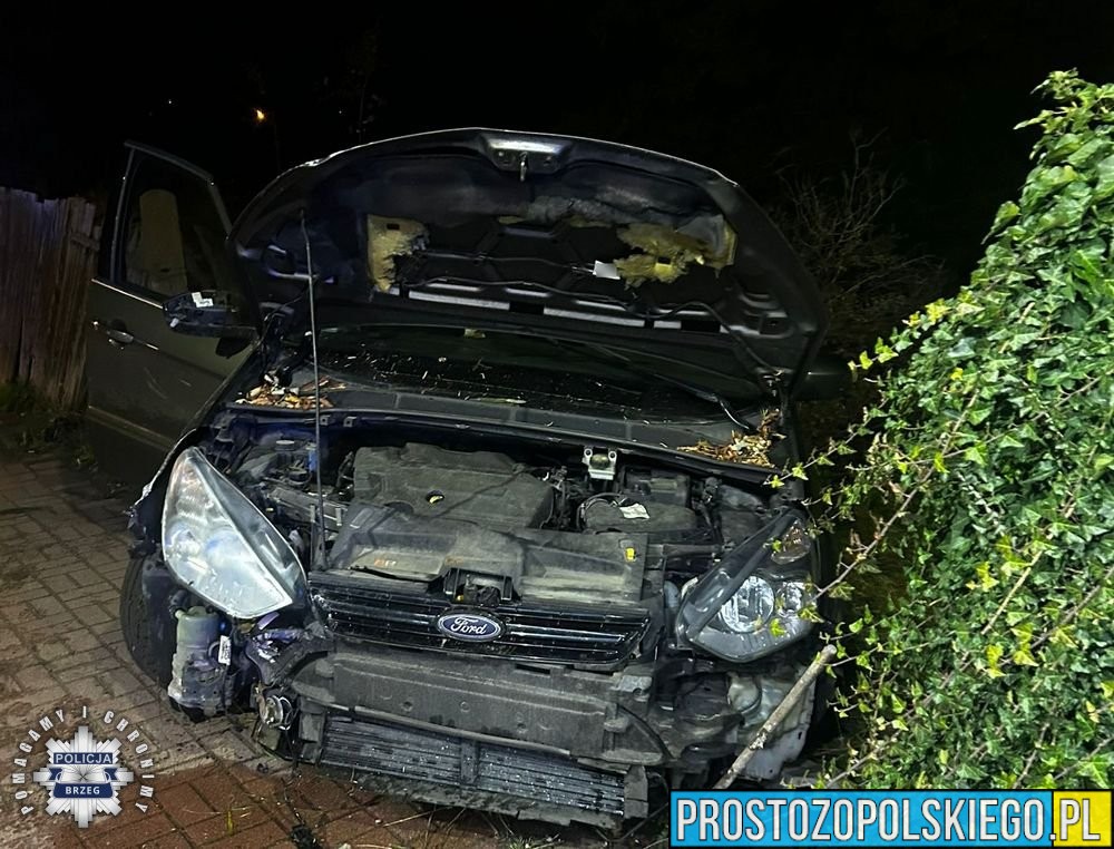 zabrał auto rodziców, nastolatek 2 promile, pijany nastolatek, pod wpływem, zabrał auto rodziców, brzeg, policja brzeg, 