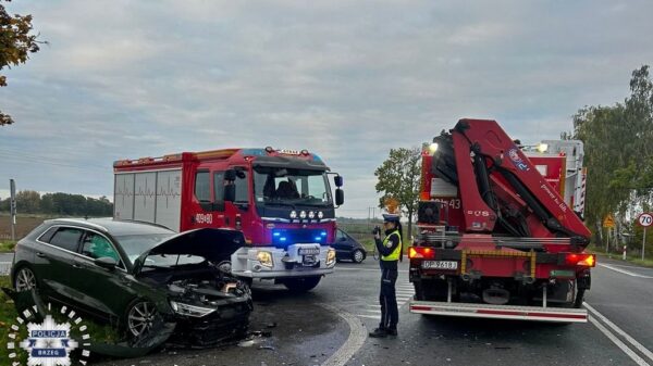 Brzeg: zderzenie audi i mercedesa na DK39.Sprawca został ukarany mandatem karnym