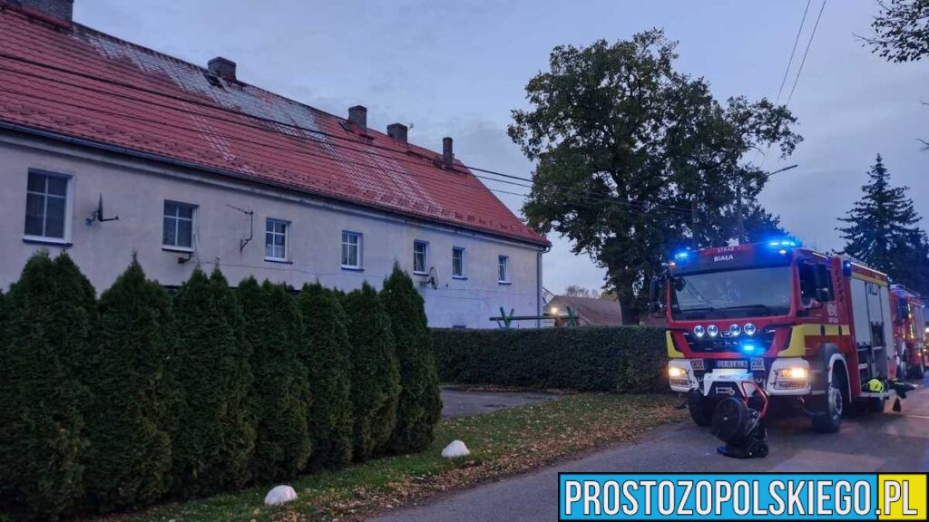 Podpalenie w gminie Biała – 30-latek zatrzymany przez policję z Prudnika