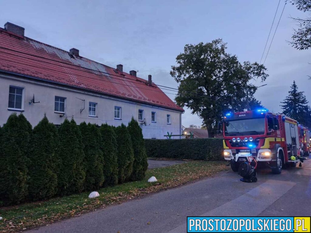 Podpalenie w gminie Biała – 30-latek zatrzymany przez policję z Prudnika