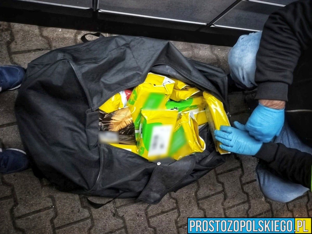 Opole: Policjanci zatrzymali 50-latka podejrzanego o handel sterydami i posiadanie narkotyków