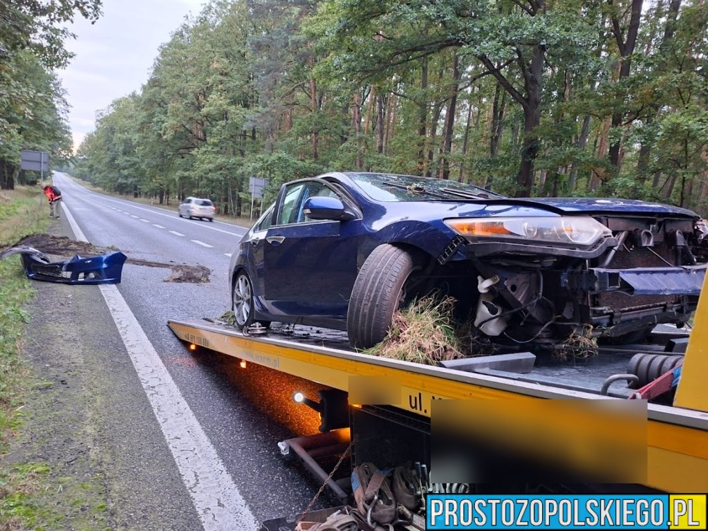 trasa opole nysa, wypadek w Dąbrowie, wypadek w lesie, samochód wypadł z drogi, traza opole nysa, prosto z opolskiego, prostozopolskiego, 