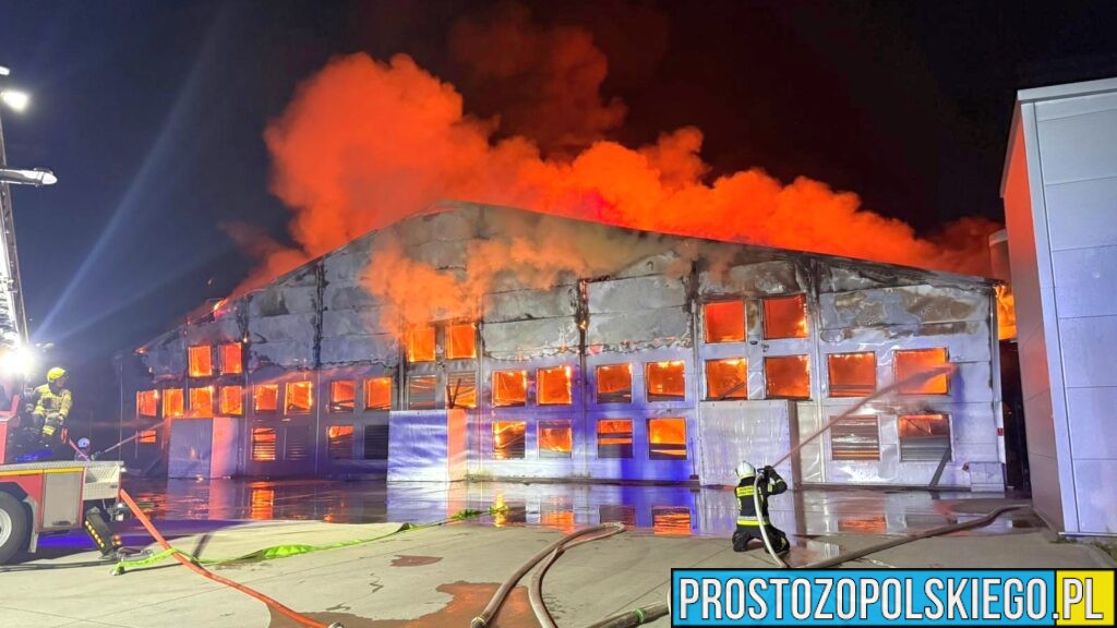 Ogromny pożar hodowli drobiu w Fałkowicach w powiecie namysłowskim
