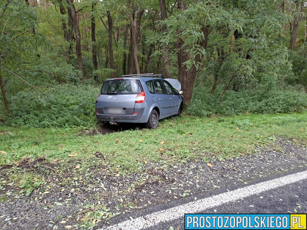 wypadek na trasie Opole Brzeg, Wypadek, wypaadek Skarbiszkowice, wypadek Borki, zderzenie 2 aut, prokurator na miejscu zdarzenia, dk 94, 
