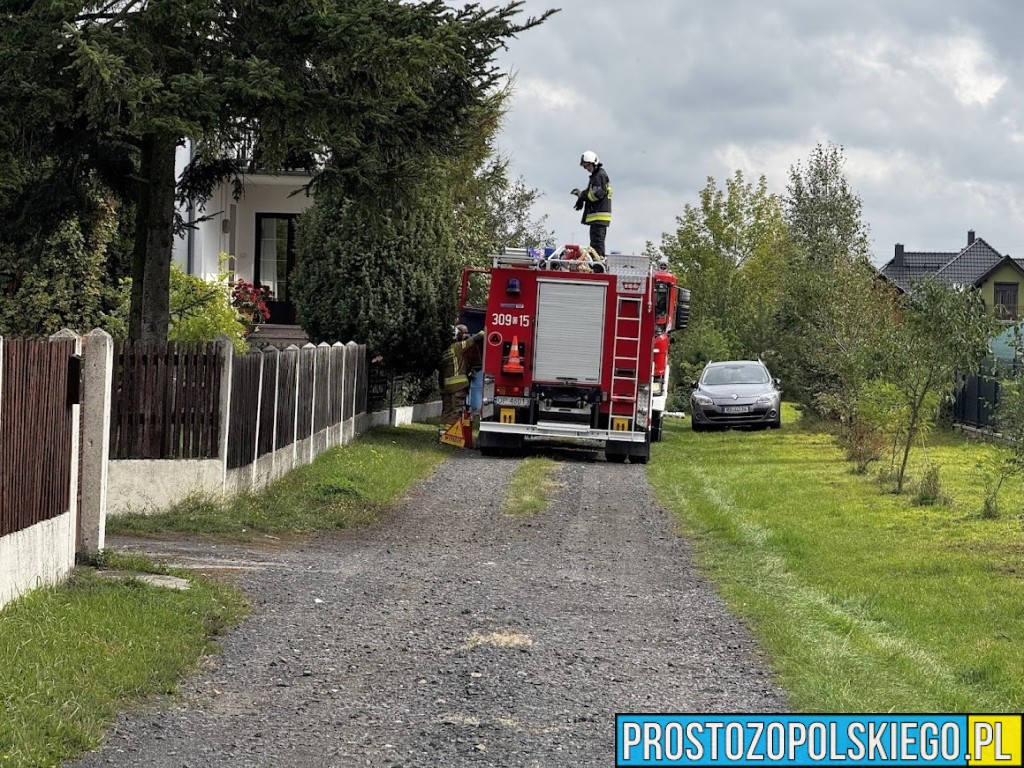 pożar domu, pożar domu w opolu, strzą gaziła dom, pożar domu w Opolu na Olimpijskiej, olimpijska pożar domu, 