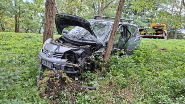 Zderzenie Renault i Suzuki na DK94. Policja i prokurator na miejscu