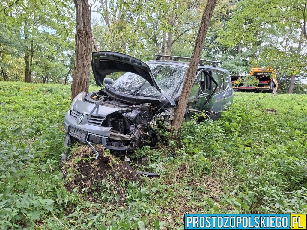 Zderzenie Renault i Suzuki na DK94. Policja i prokurator na miejscu