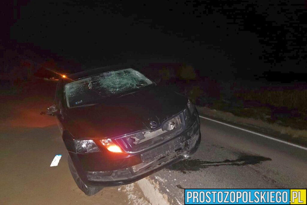 47-latek z 3 promilami zawisł Skodą na wykopie przy DK45 w Zawadzie