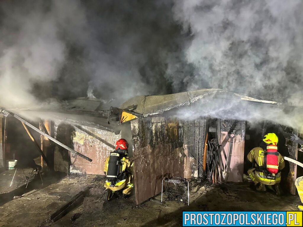 Pożar budynku gospodarczego w Starym Koźlu. 12 kur padło w wyniku ognia