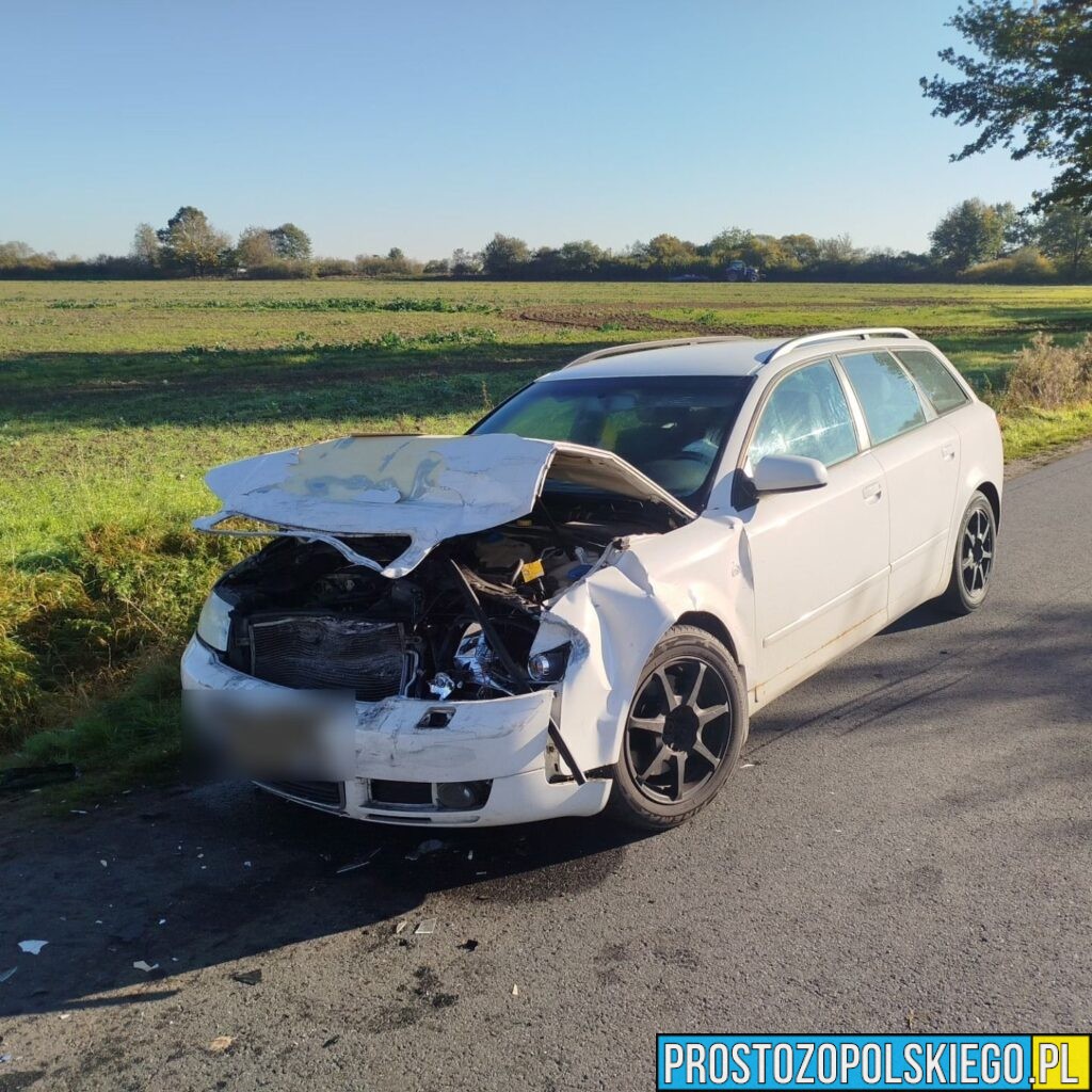 Wypadek drogowy na trasie Biestrzykowice – Dąbrowa. Kobieta z dzieckiem trafiła do szpitala