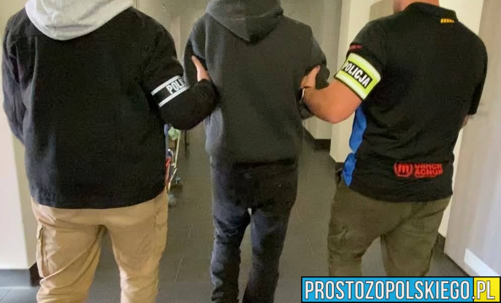 Włodary: 38-latek strzelał z wiatrówki w stronę szkoły. Zatrzymała go policja z Korfantowa