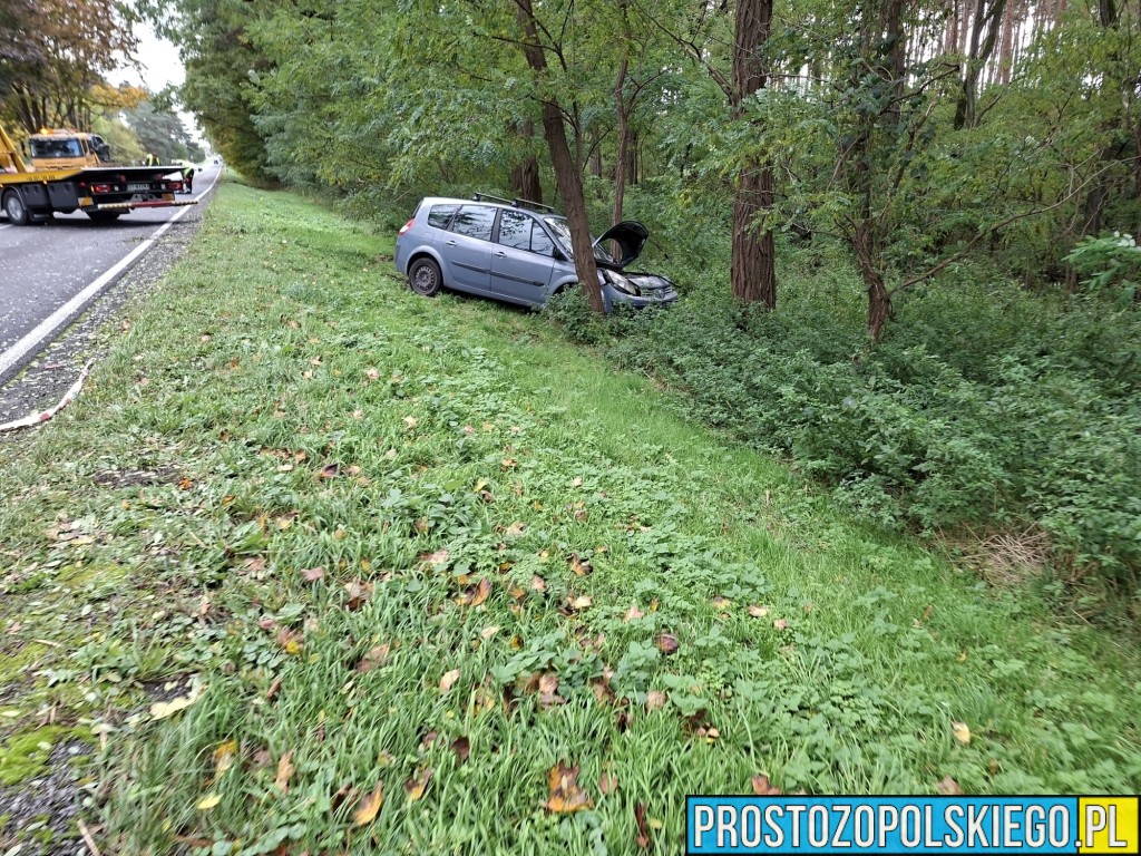 wypadek na trasie Opole Brzeg, Wypadek, wypaadek Skarbiszkowice, wypadek Borki, zderzenie 2 aut, prokurator na miejscu zdarzenia, dk 94, 