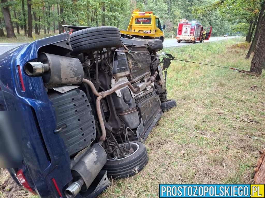 trasa opole nysa, wypadek w Dąbrowie, wypadek w lesie, samochód wypadł z drogi, traza opole nysa, prosto z opolskiego, prostozopolskiego, 