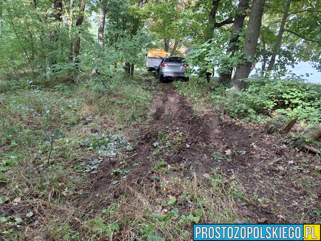 wypadek na trasie Opole Brzeg, Wypadek, wypaadek Skarbiszkowice, wypadek Borki, zderzenie 2 aut, prokurator na miejscu zdarzenia, dk 94, 
