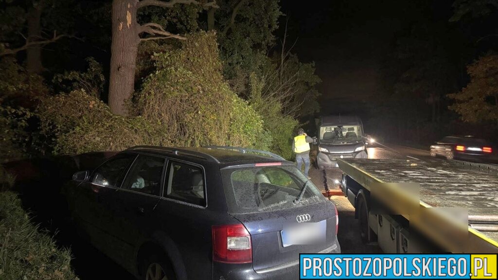 Wypadek w Dąbrowie na DK46. Zderzenie busa z samochodem osobowym – droga była zablokowana