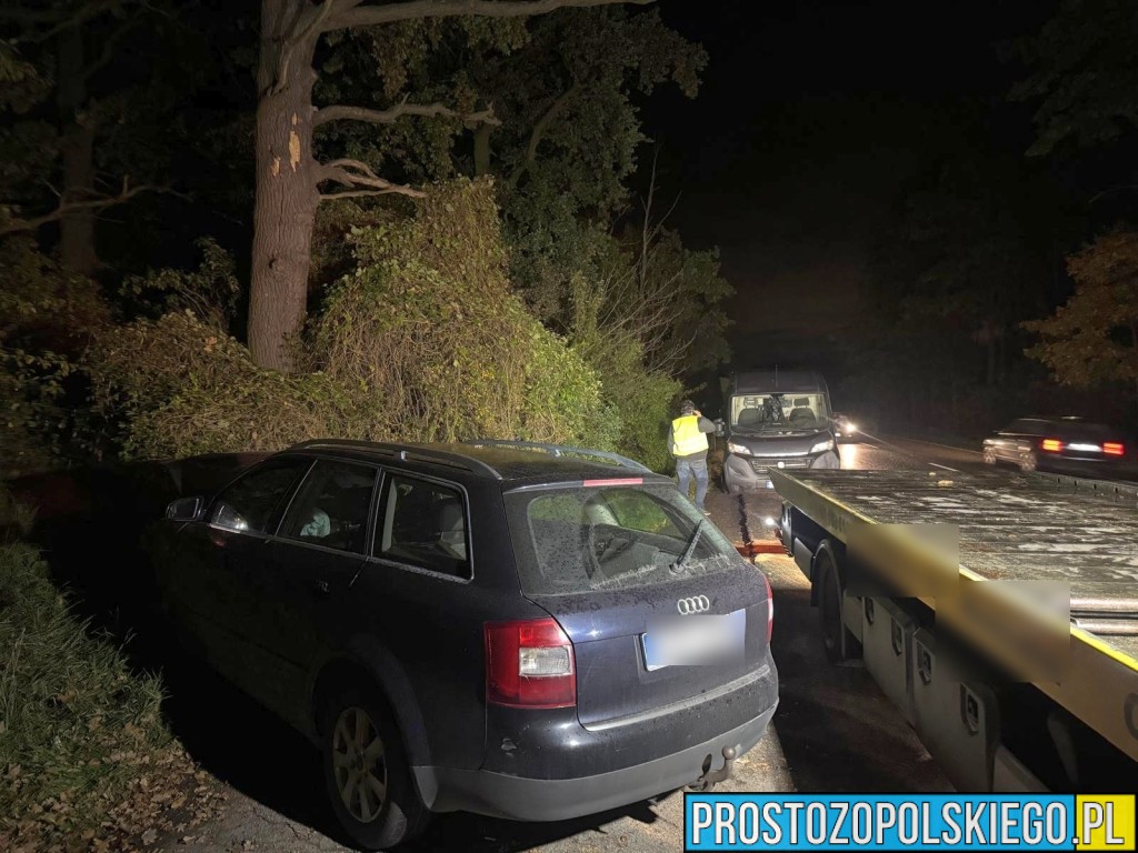 Wypadek w Dąbrowie na DK46. Zderzenie busa z samochodem osobowym – droga była zablokowana