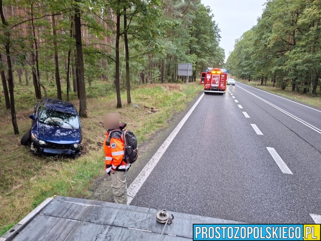 trasa opole nysa, wypadek w Dąbrowie, wypadek w lesie, samochód wypadł z drogi, traza opole nysa, prosto z opolskiego, prostozopolskiego, 