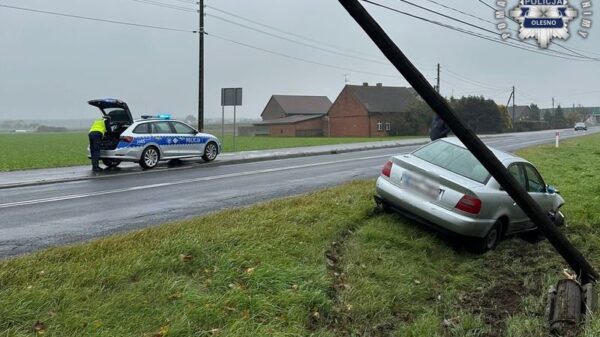 Jesienna aura zaskoczyła kierowców w powiecie oleskim. Dwie kolizje tego samego dnia – policja apeluje o ostrożność