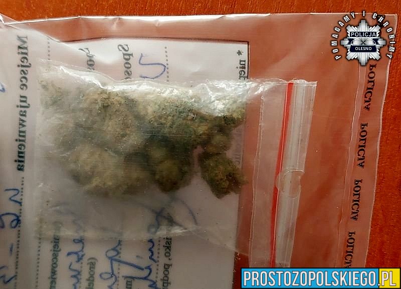 Olesno: 21-latek z narkotykami i znakiem drogowym w mieszkaniu zatrzymany przez policję