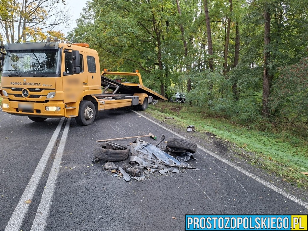 wypadek na trasie Opole Brzeg, Wypadek, wypaadek Skarbiszkowice, wypadek Borki, zderzenie 2 aut, prokurator na miejscu zdarzenia, dk 94, 