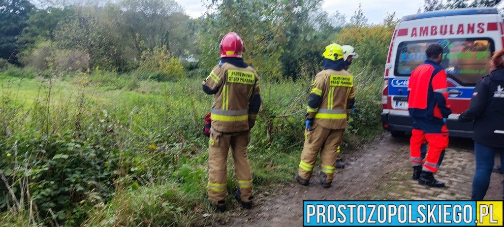rajd wypadek, wypadek podczas rajdu, rajd w maciejowicach wypadek, rajd nyski nysa rajd wypadek prosto z opolskiego, 