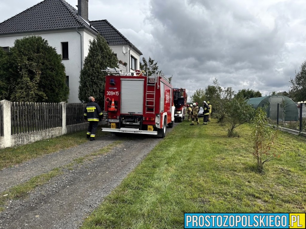pożar domu, pożar domu w opolu, strzą gaziła dom, pożar domu w Opolu na Olimpijskiej, olimpijska pożar domu, 