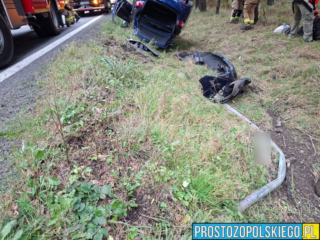 trasa opole nysa, wypadek w Dąbrowie, wypadek w lesie, samochód wypadł z drogi, traza opole nysa, prosto z opolskiego, prostozopolskiego, 