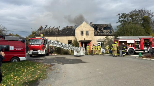 Pożar budynku mieszkalnego w Przewozie. Na miejscu kilkanaście zastępów straży pożarnej