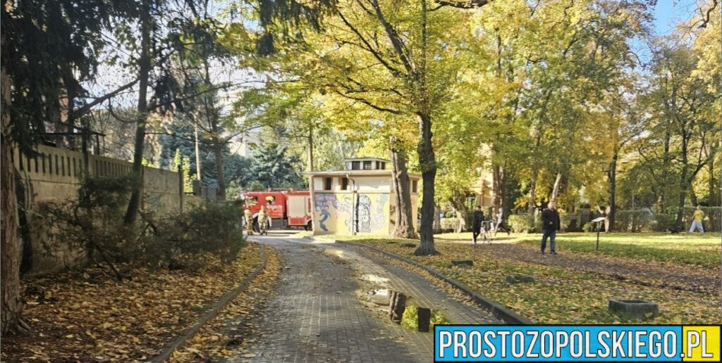 Tragiczny pożar w Brzegu. Nie żyje 72-letnia kobieta