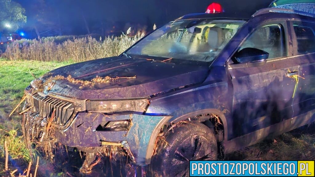 Samochód wjechał do stawu w Borkach Wielkich. Kierowca nie mógł się wydostać