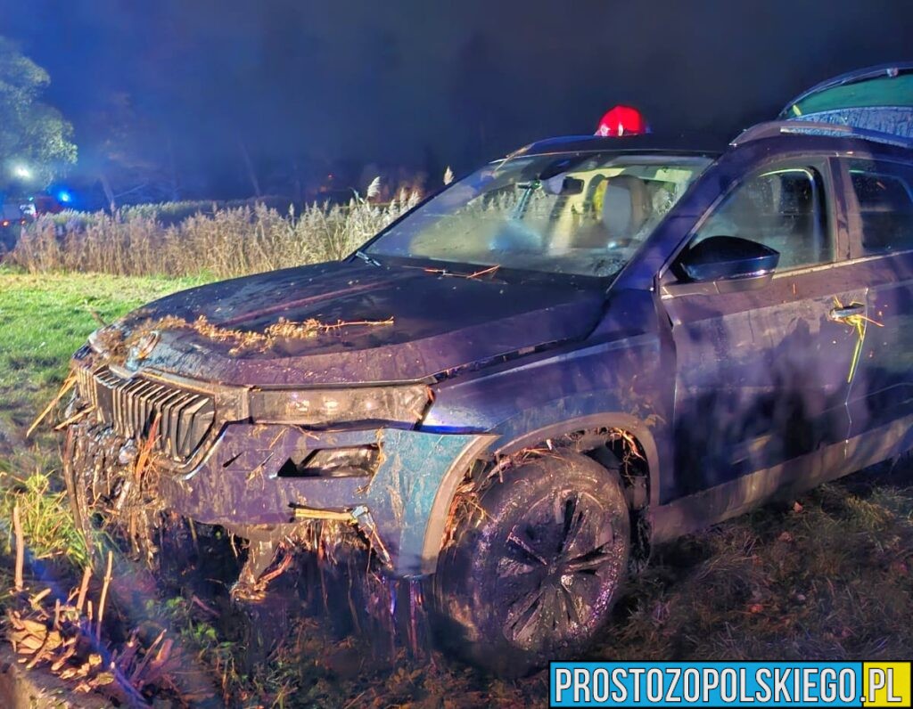 Samochód wjechał do stawu w Borkach Wielkich. Kierowca nie mógł się wydostaćsamochód w stawie, strażacy wyciągali samochód z wody, auto w wodzie, auto w stawie, kiewoca w aucie, auto wjechało do wody,