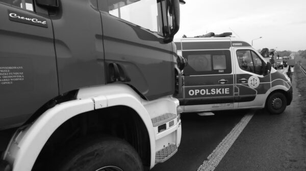 Tragiczny wypadek w Mieszkowicach. Kierowca Skody zginął na miejscu