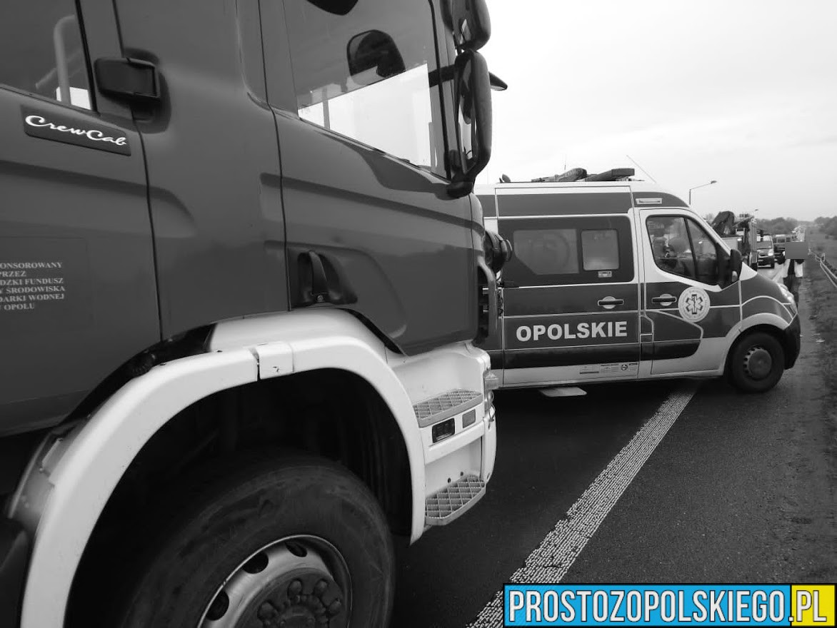 Tragiczny wypadek w Mieszkowicach. Kierowca Skody zginął na miejscu