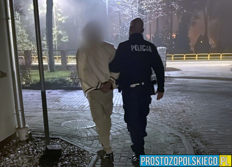 Strzeleccy policjanci zatrzymali kierowcę pod wpływem narkotyków w Łąkach Kozielskich