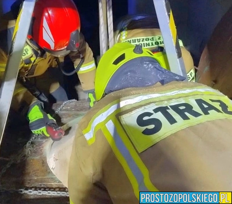 Leśnica: Strażacy uratowali kotka, który wpadł do studni w opuszczonym budynku