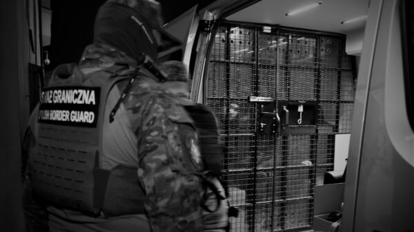Opole: Funkcjonariusze Straży Granicznej zatrzymali 9 cudzoziemców przebywających w Polsce nielegalnie