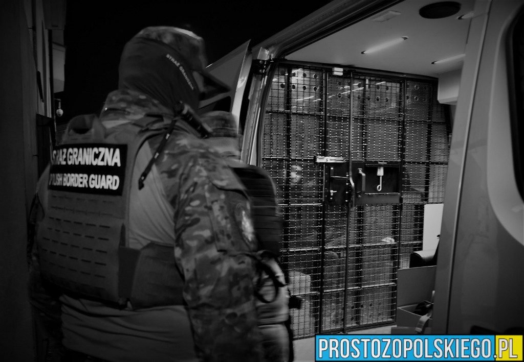 Opole: Funkcjonariusze Straży Granicznej zatrzymali 9 cudzoziemców przebywających w Polsce nielegalnie