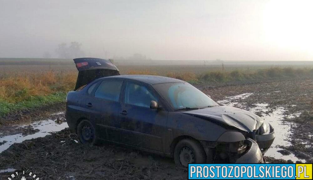 W Brzegu ukradł 60 butelek alkoholu i auto – 23-latek zatrzymany przez policję