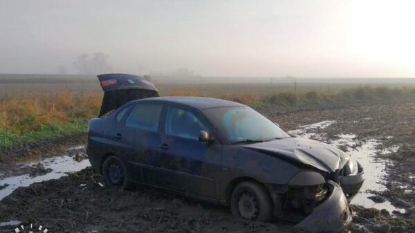 W Brzegu ukradł 60 butelek alkoholu i auto – 23-latek zatrzymany przez policję