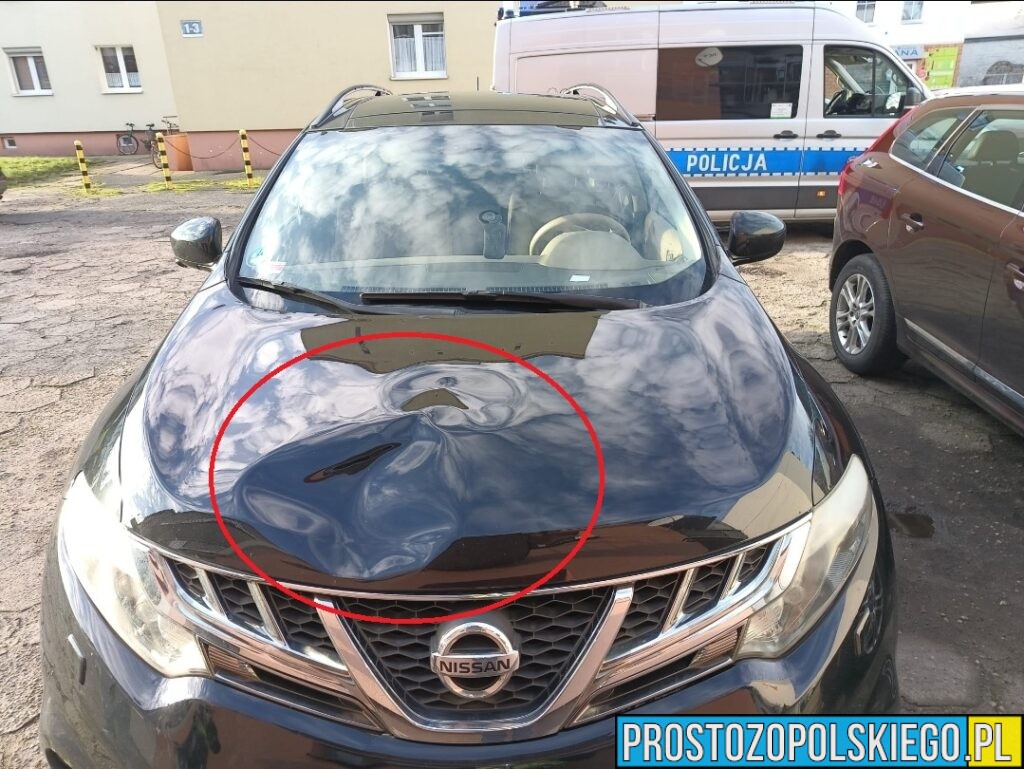 Dwa groźne potrącenia pieszych w powiecie strzeleckim. Policja apeluje o ostrożność na przejściach