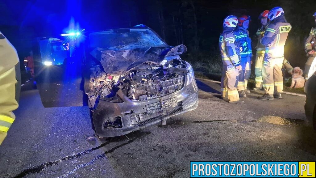 Zderzenie samochodu ze zwierzęciem na drodze wojewódzkiej nr 426. Jedna osoba trafiła do szpitala
