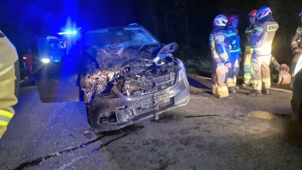 Zderzenie samochodu ze zwierzęciem na drodze wojewódzkiej nr 426. Jedna osoba trafiła do szpitala