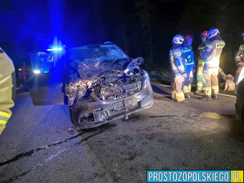 Zderzenie samochodu ze zwierzęciem na drodze wojewódzkiej nr 426. Jedna osoba trafiła do szpitala